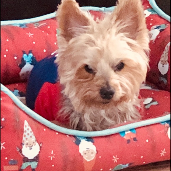 🌸🌸Meet your Posher, Sandra Lee🌸🌸💕. - Picture 10 of 16